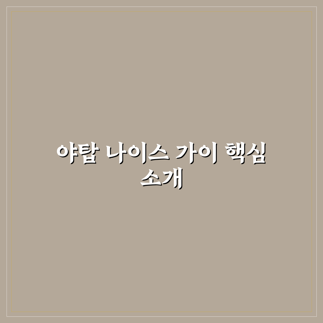 야탑 나이스 가이 이용 꿀팁과 서비스 추천 정리