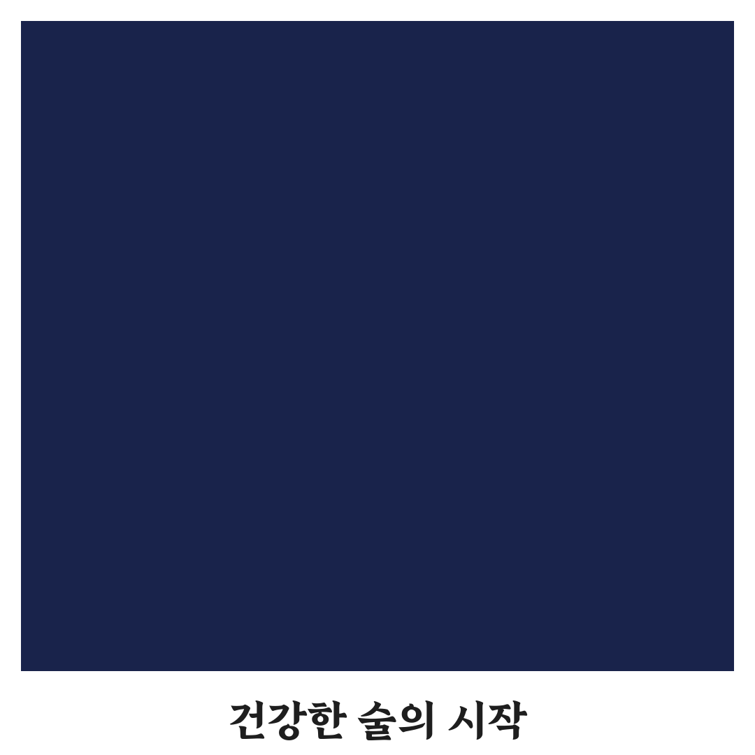 아로니아 술효능 직접 알아보니 체감한 변화