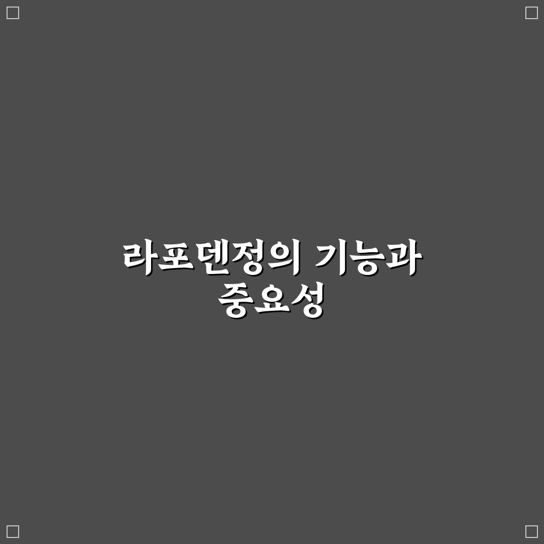 라포덴정 복용법과 주의사항 쉽게 알려드려요