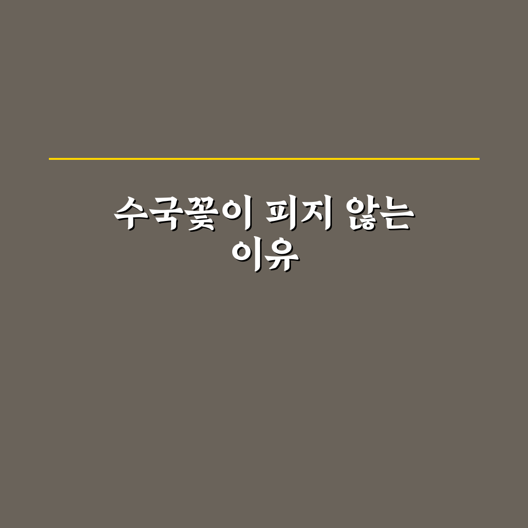 수국꽃이안피는이유와 해결 꿀팁 쉽게 알려드려요