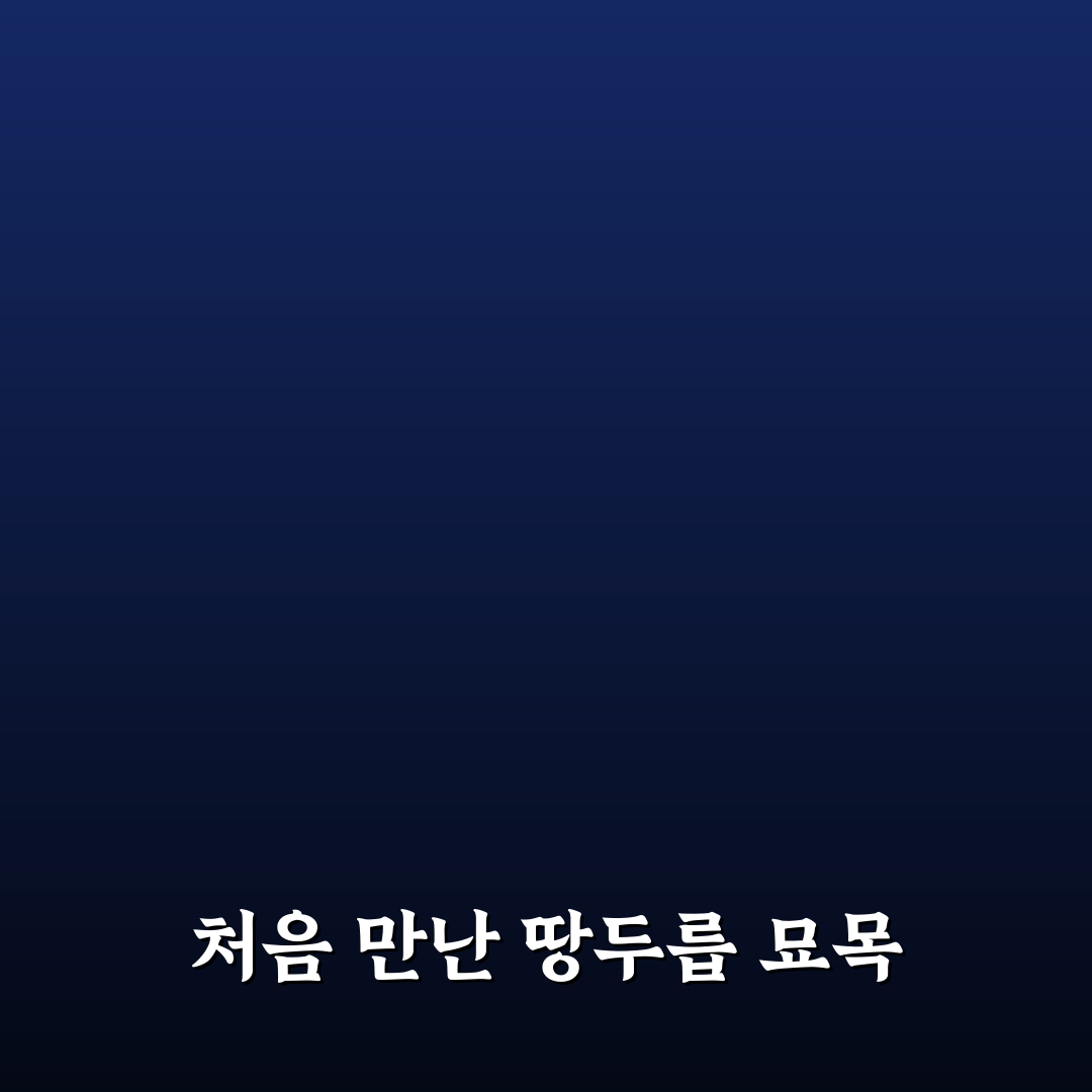 땅두릅 묘목 구매 후기, 직접 키워보니 변화가 보여요