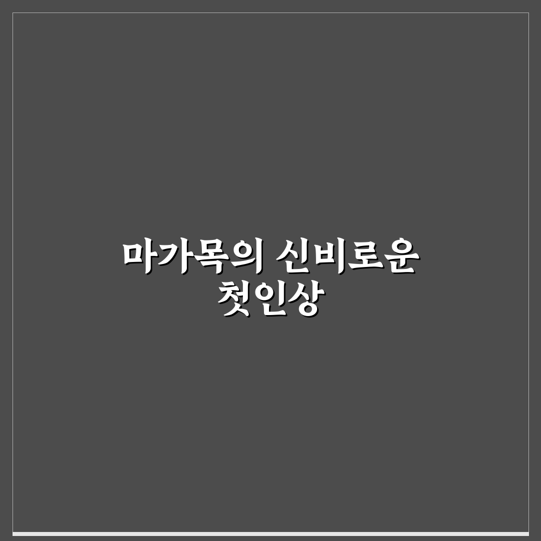 마가목 즙 사용 후기, 직접 써보니 느낀 점들