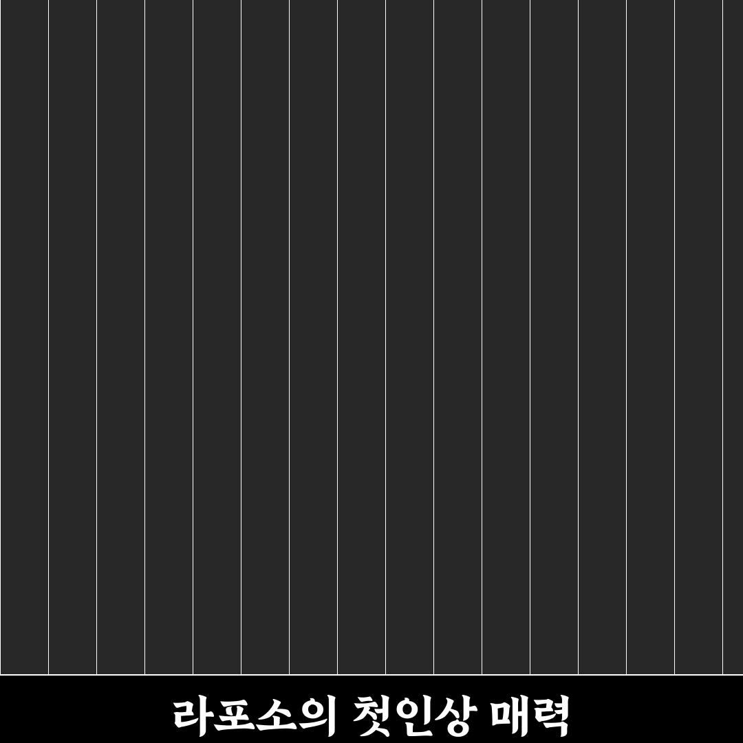 라포소 직접 이용해보니 실제 편리함이 어떤지