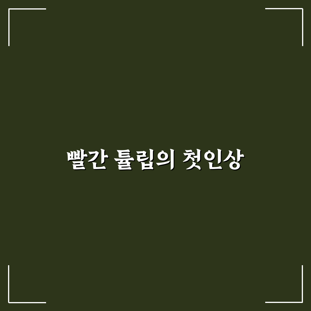 빨간 튤립 꽃말 직접 알아보니 뜻이 특별했어요