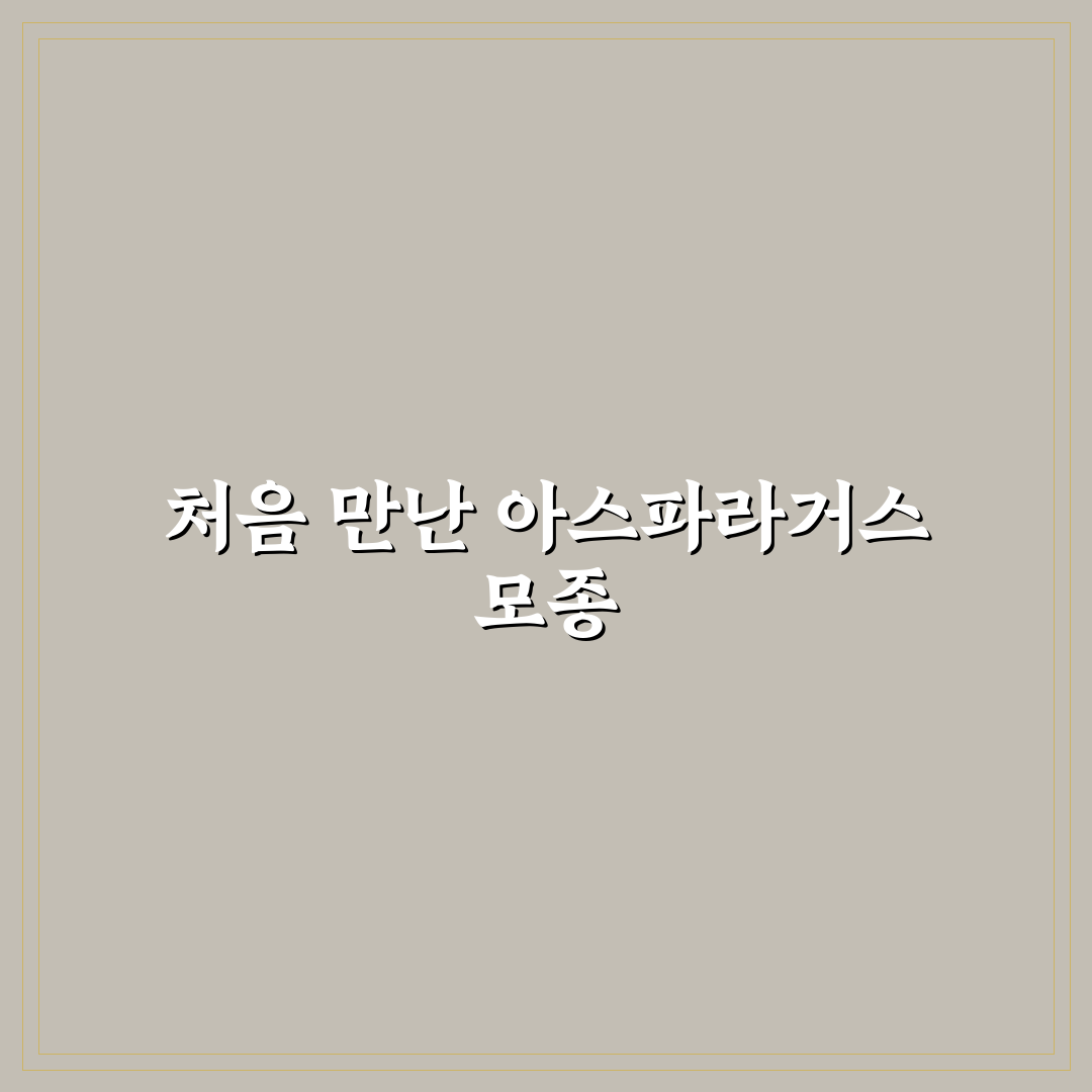 아스파라거스 모종 심는 시기, 직접 알아보니