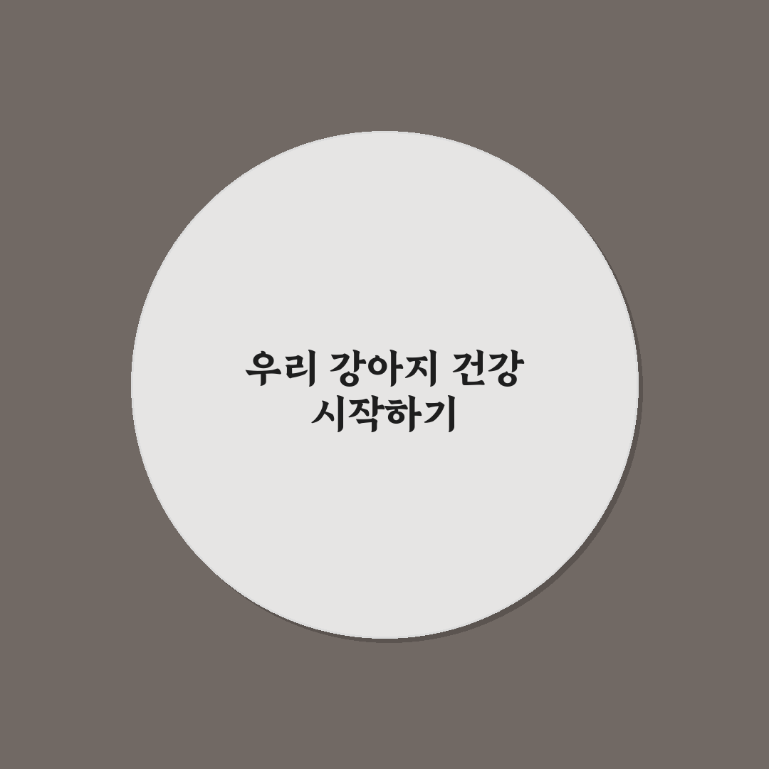 묘견서 오메가3 미니 사용 후기, 먹어보니 알게 된 점