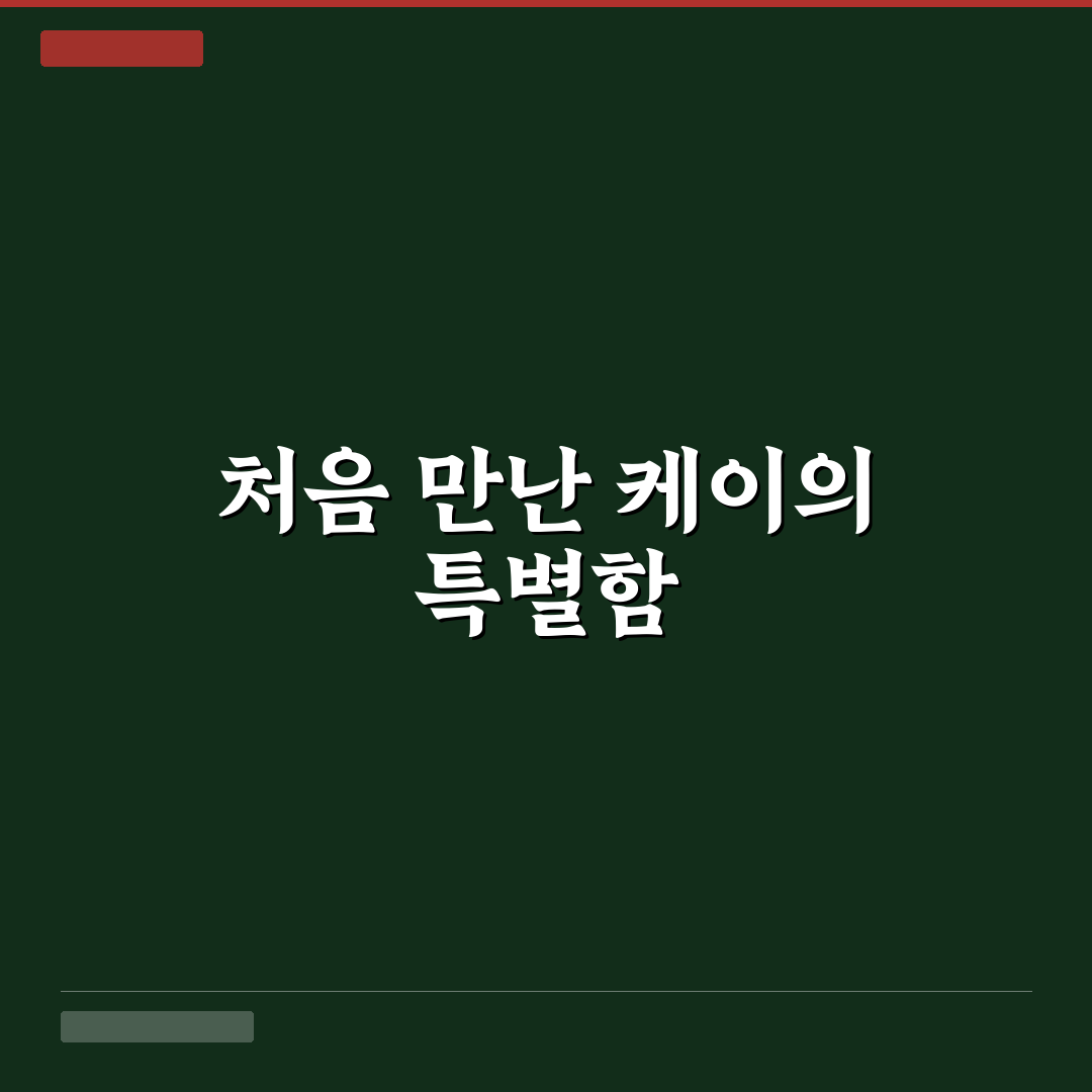 유튜버 케이 나무위키 직접 알아보니 궁금했던 점들