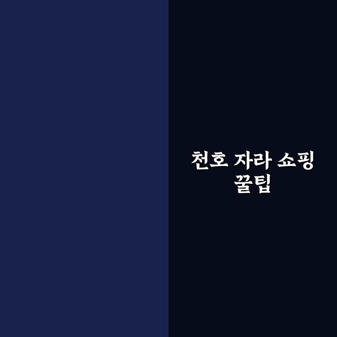 천호 현대백화점 자라 매장 비교와 쇼핑 가이드 총정리