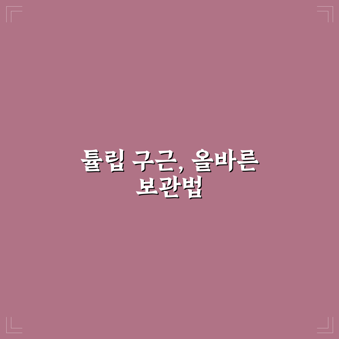 튤립 구근 보관법 쉽게 이해하는 꿀팁 정리