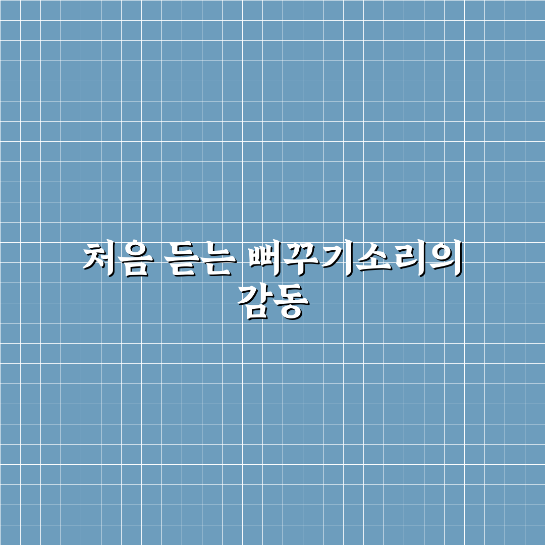 쿠쿠 밥솥 뻐꾸기소리 사용 후기, 실제 써보니 느낀 점