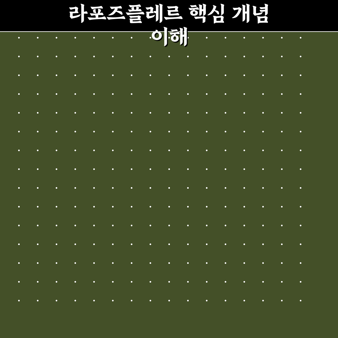 라포즈플레르 사용법과 효과 쉽게 알려드려요