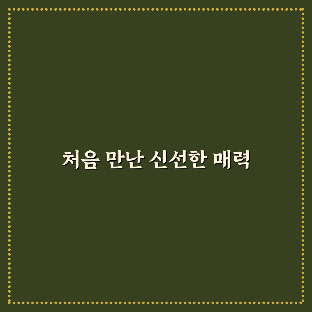 시흥사거리 중국집 방문 후기, 솔직한 맛과 분위기