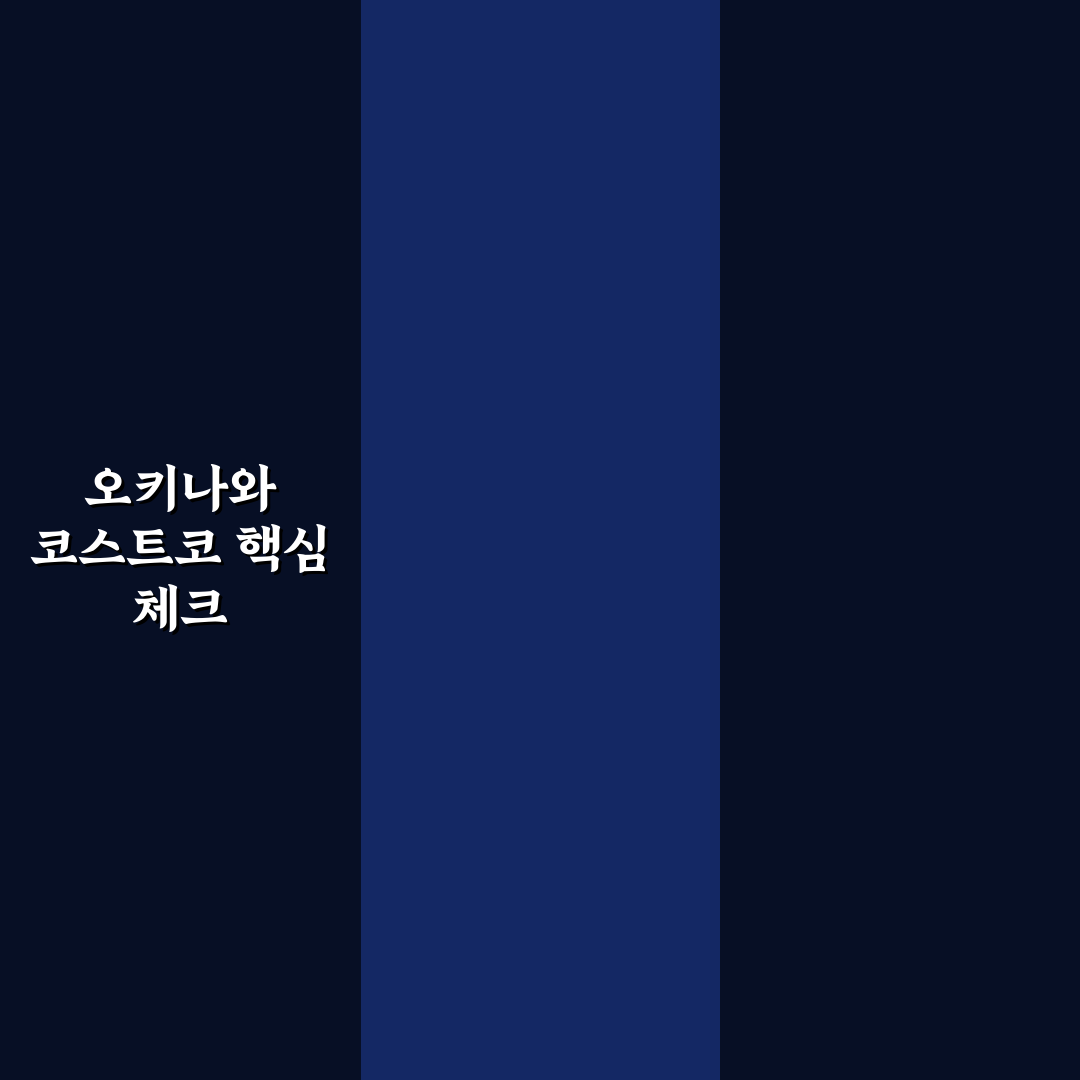 오키나와 코스트코 방문 전 확인할 5가지 체크포인트
