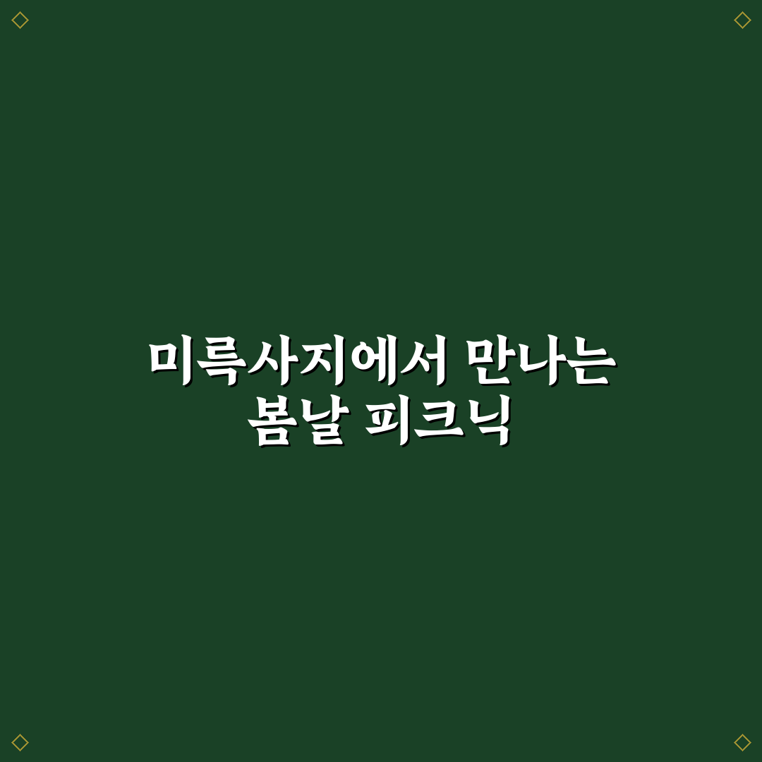 익산 미륵사지 피크닉 꿀팁과 즐길거리 추천