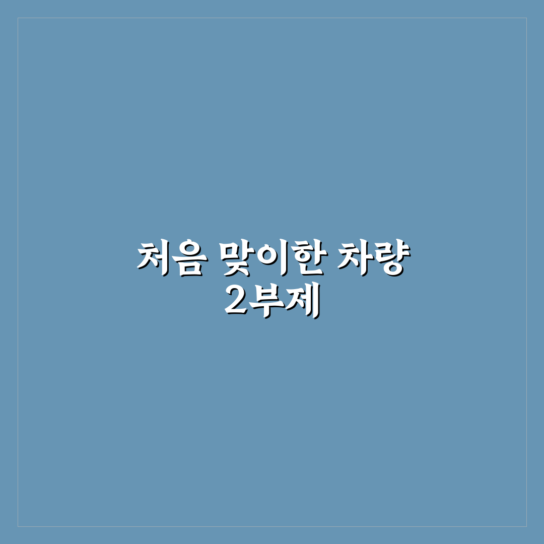 차량 2부제 안내판 직접 알아보니 실제 활용법과 불편한 점
