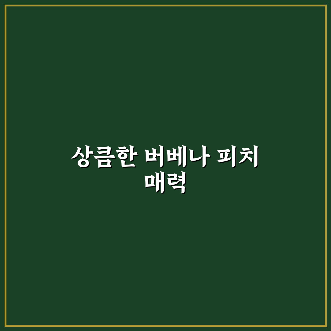 버베나 피치 활용법과 초보자를 위한 꿀팁 정리