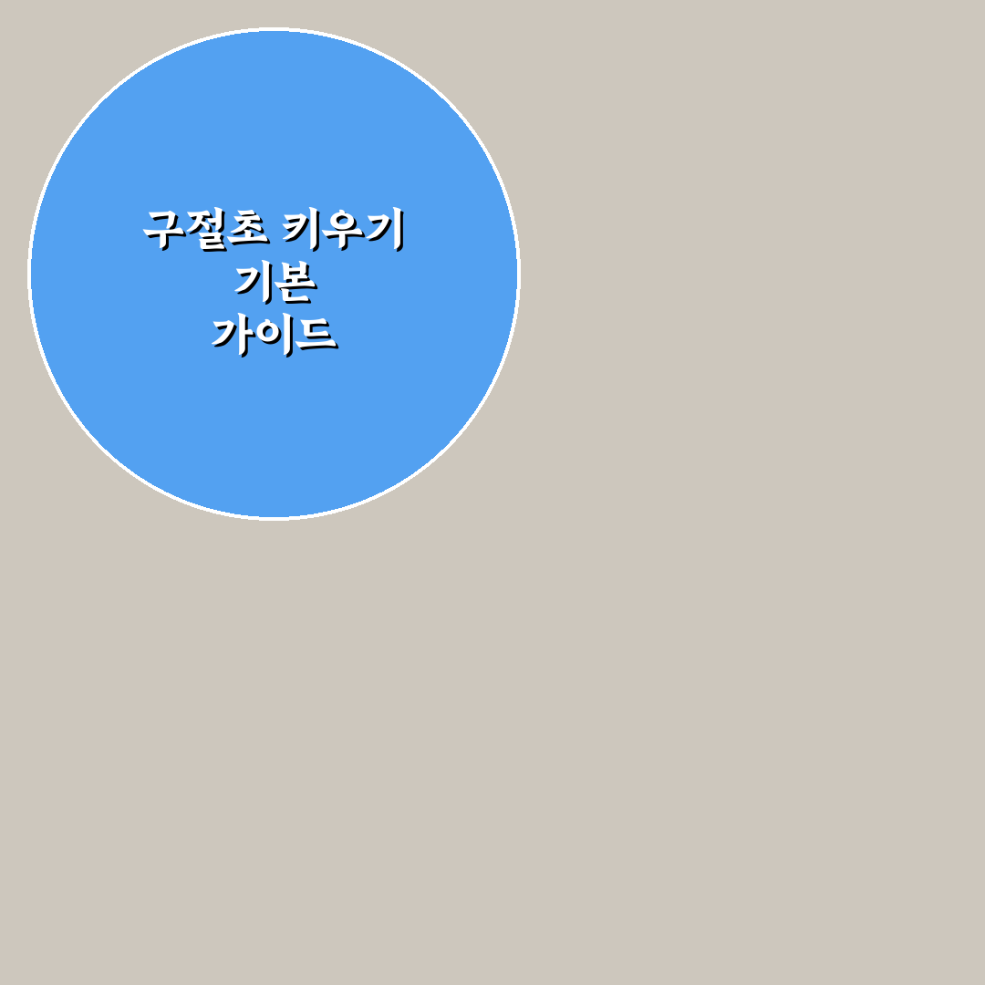 구절초 모종 키우기 꿀팁과 관리 방법 정리
