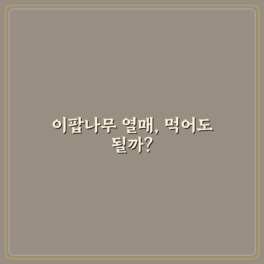 이팝나무 열매 식용 방법과 주의할 점 정리