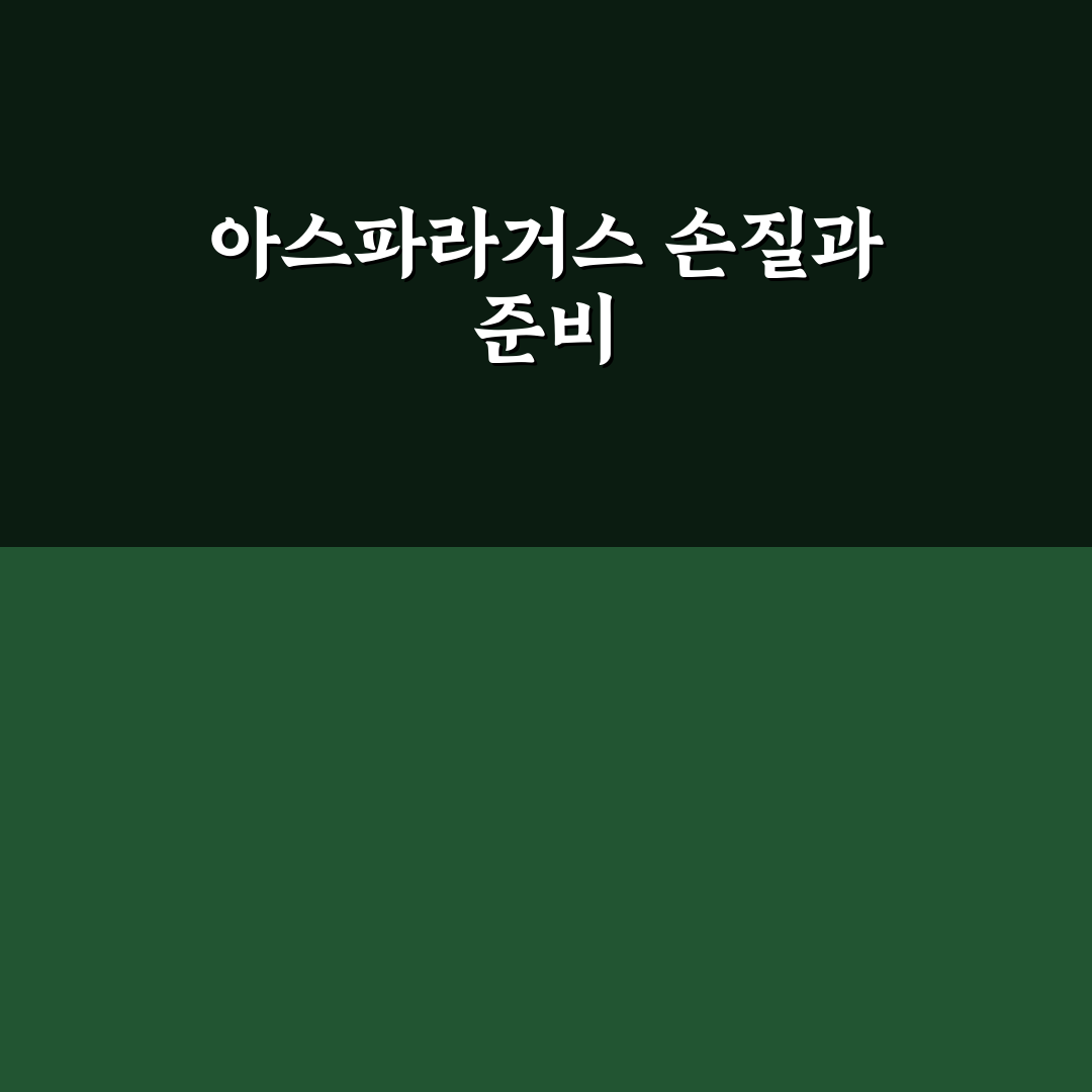 아스파라거스 요리 레시피와 꿀팁 초보자도 쉽게 따라해요