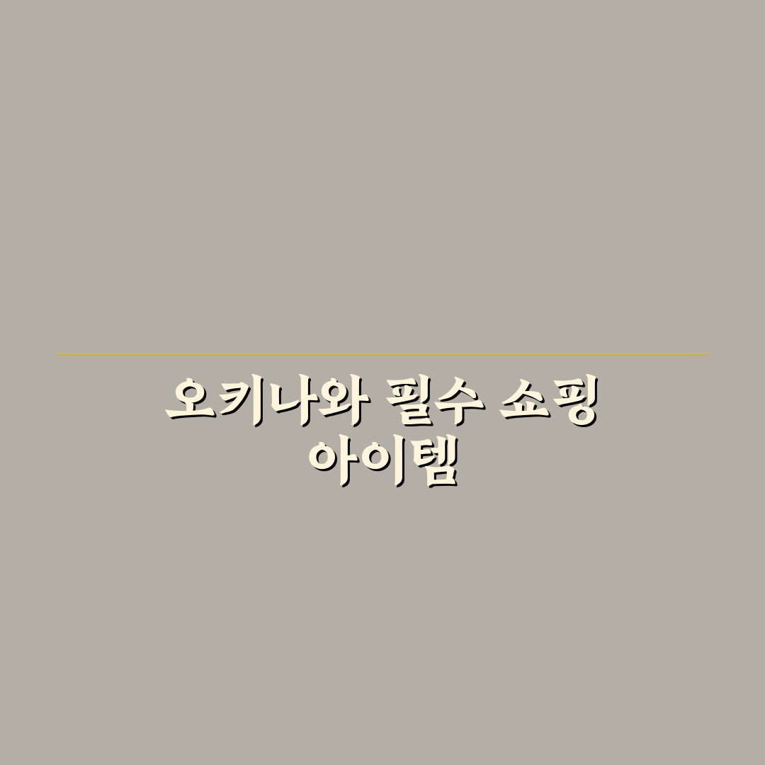 오키나와 돈키호테 쇼핑리스트 추천과 꿀팁 정리