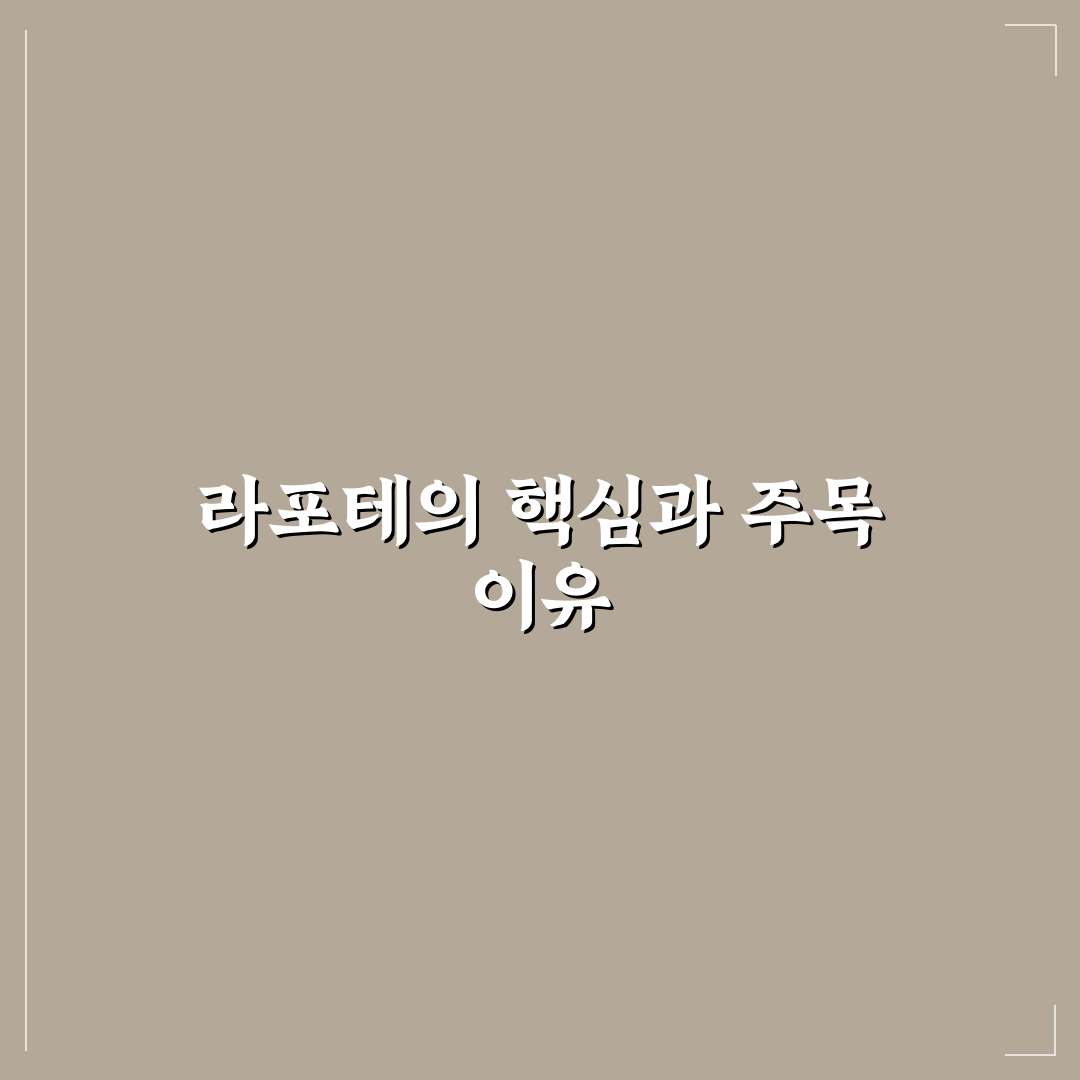 라포테 비교와 분석을 통한 선택 기준 총정리
