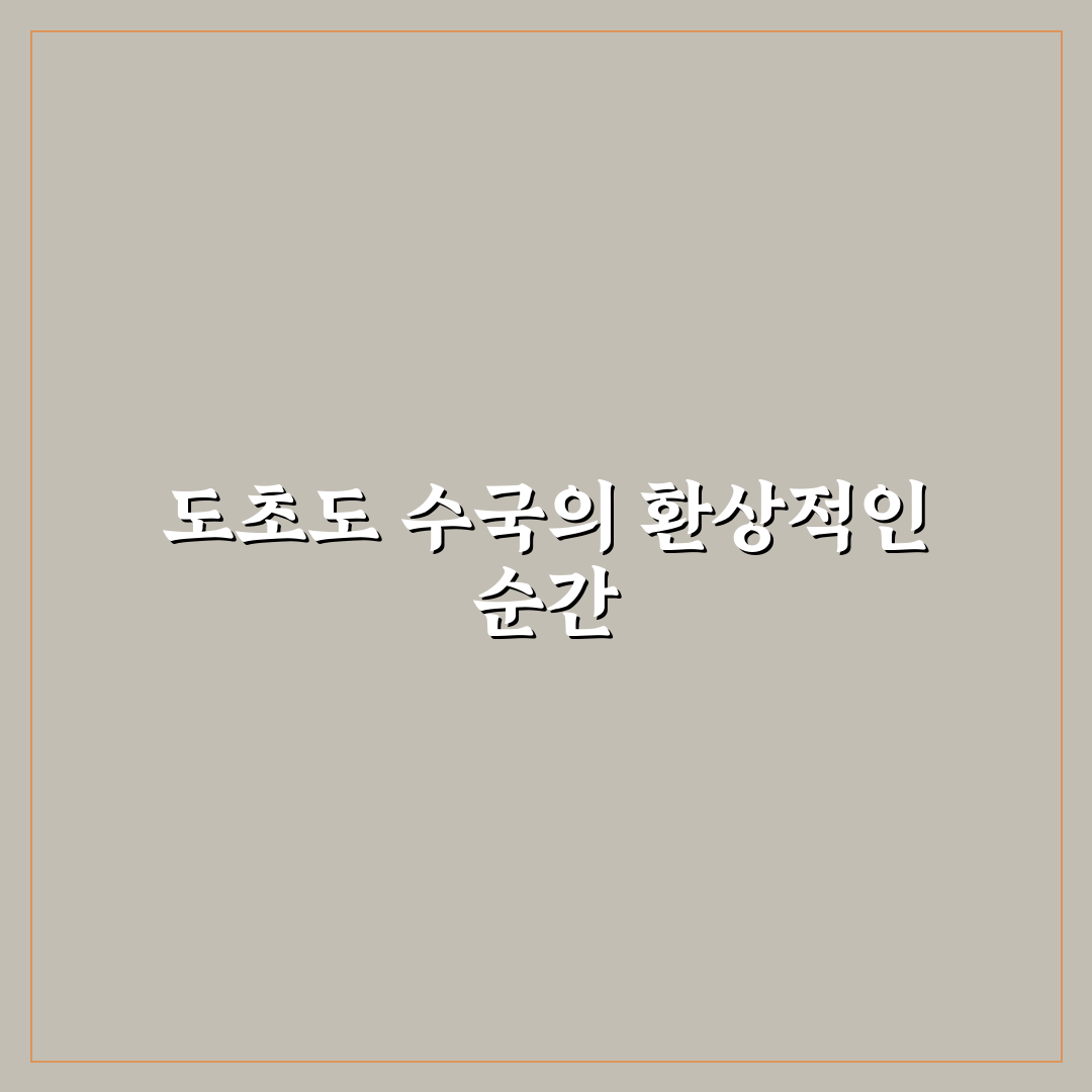 도초도 수국축제 방문 꿀팁과 즐길 거리 소개
