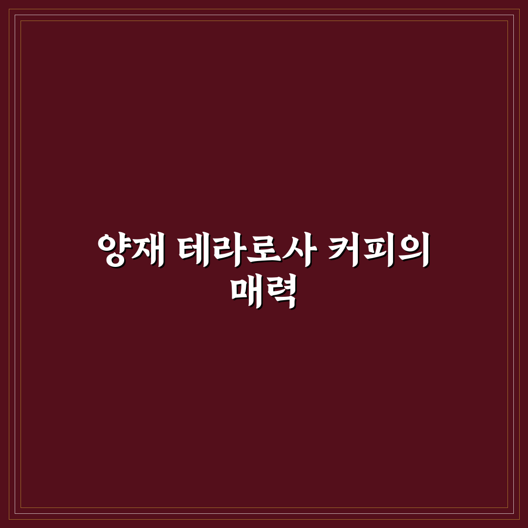 양재역 테라로사 방문 꿀팁과 인기 메뉴 정리