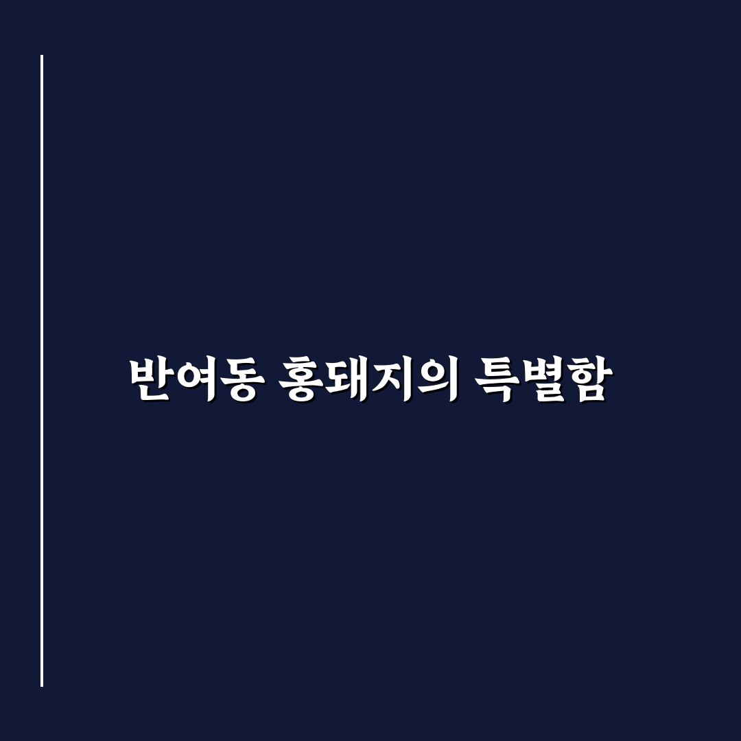 반여동 홍돼지 맛과 서비스 비교 꿀팁 알려드려요
