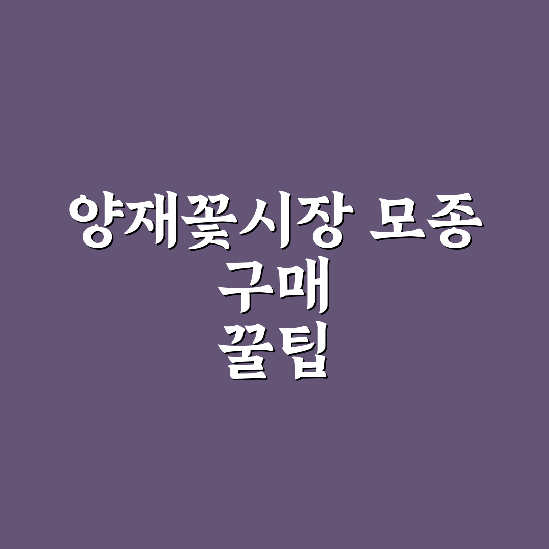 양재꽃시장 모종 선택과 구매 꿀팁 알려드려요