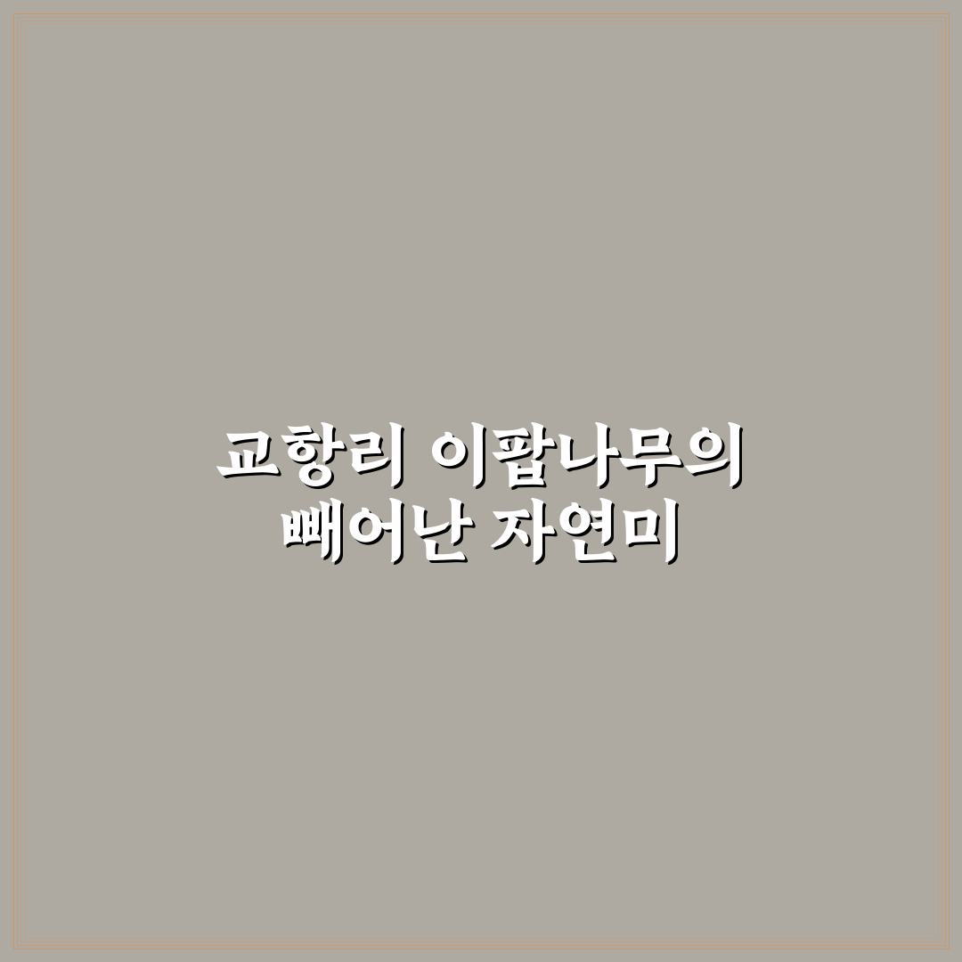 교항리 이팝나무 군락지 방문 꿀팁과 여행 정보 정리