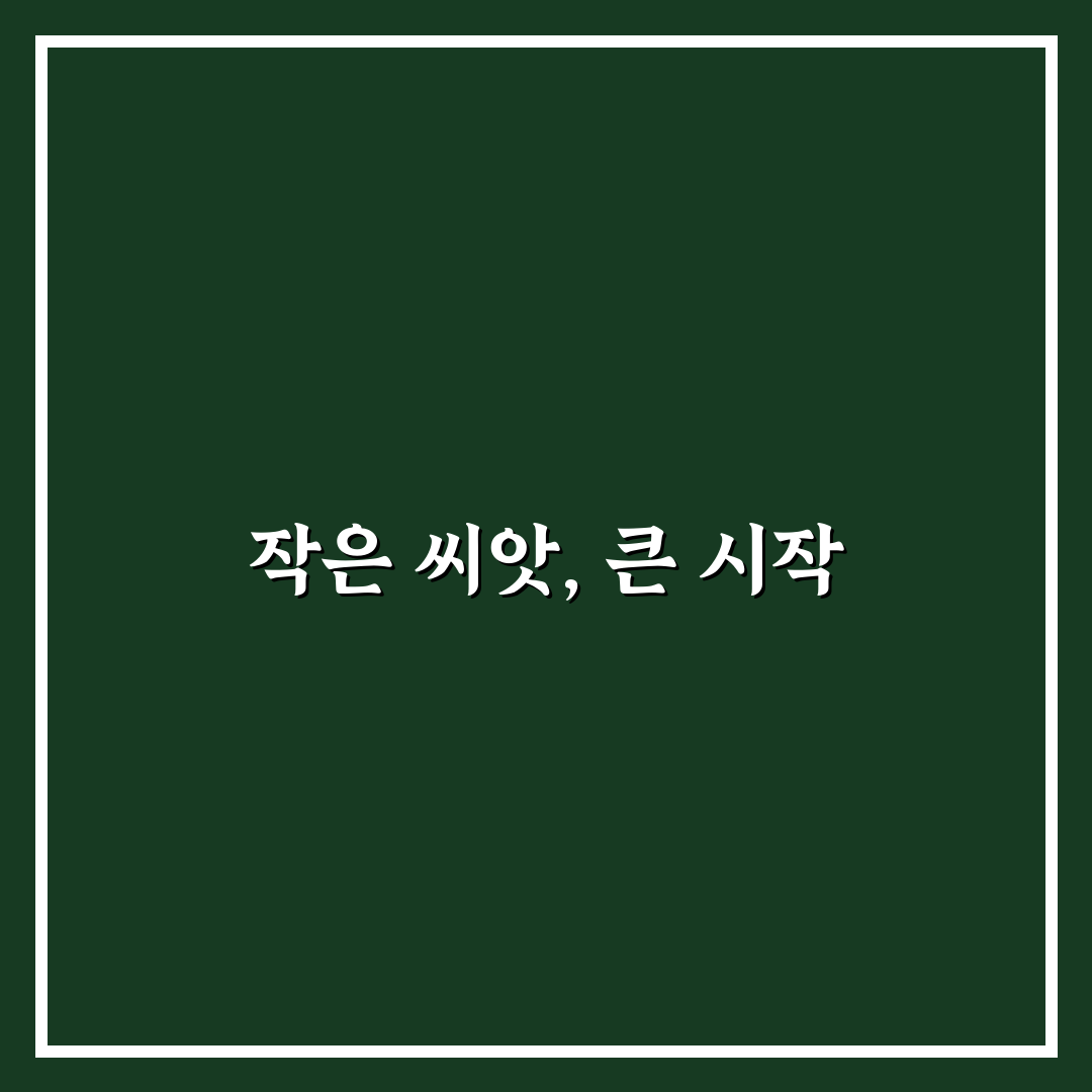 지면패랭이꽃 씨앗 사용 후기, 직접 심어보니 느낌은?