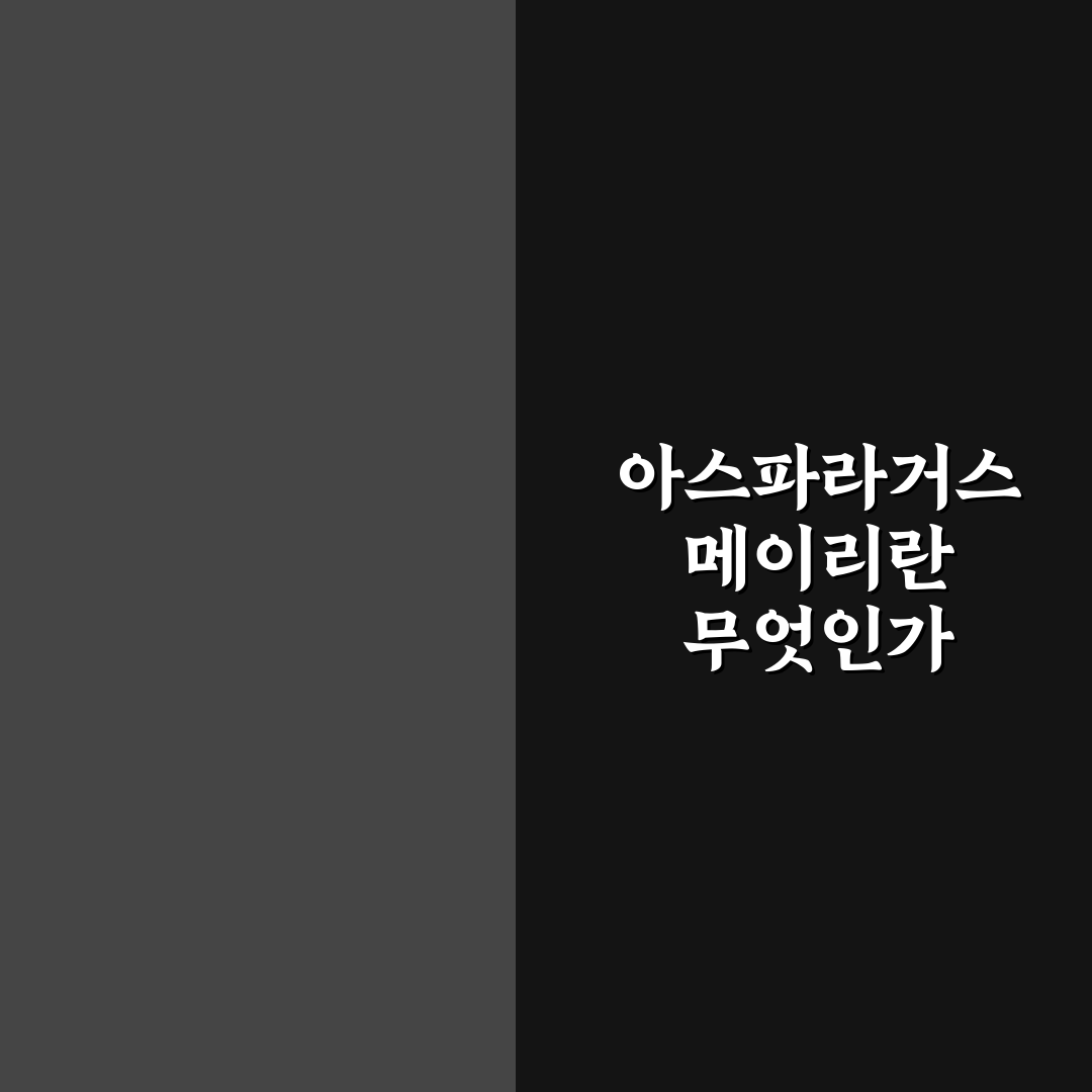 아스파라거스 메이리 재배 꿀팁과 관리 방법 정리