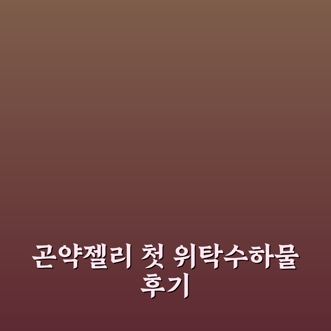 곤약젤리 위탁수하물 이용 후기, 실제 경험담 정리
