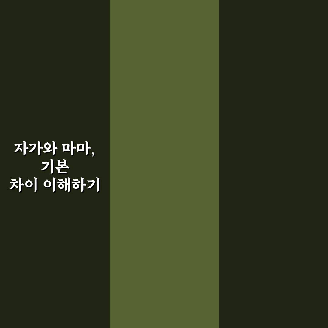 자가 마마 차이 비교와 선택을 위한 5가지 체크포인트