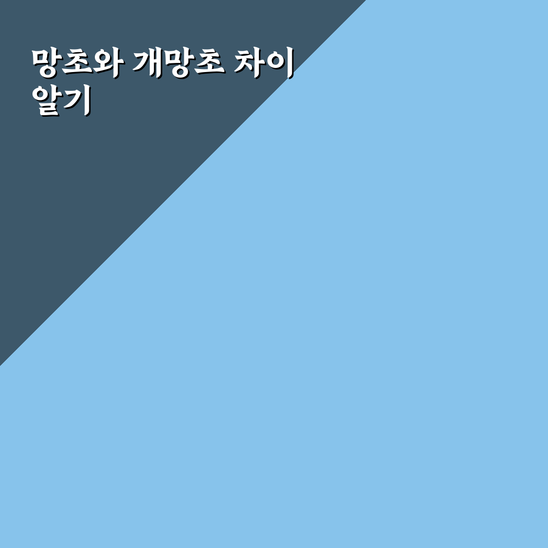 망초 개망초 차이 쉽게 이해하는 꿀팁 정리