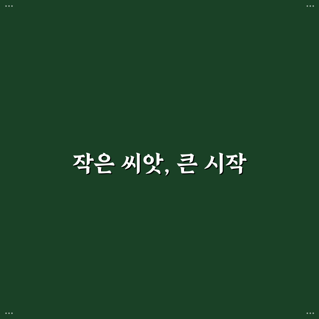 작약 씨앗 파종시기, 직접 알아보니 적절한 시기와 방법