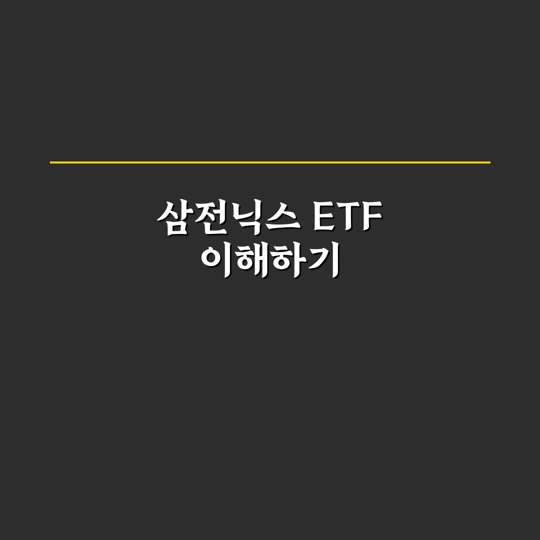 삼전닉스 etf 교육 초보자를 위한 핵심 정리