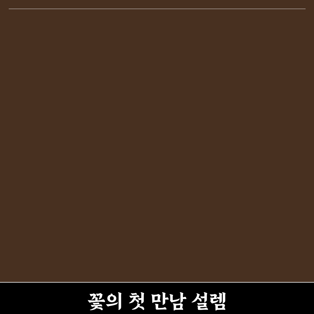 구절초 데이지 구분법 직접 알아보니 달라 보이는 점