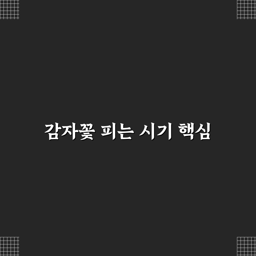 감자꽃 피는 시기와 특징 초보자도 쉽게 알아보는 꿀팁