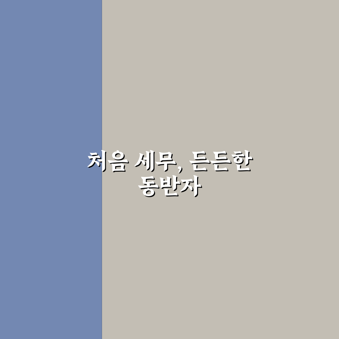 지식 세무맨 이용 후기, 직접 해보니 알게 된 점