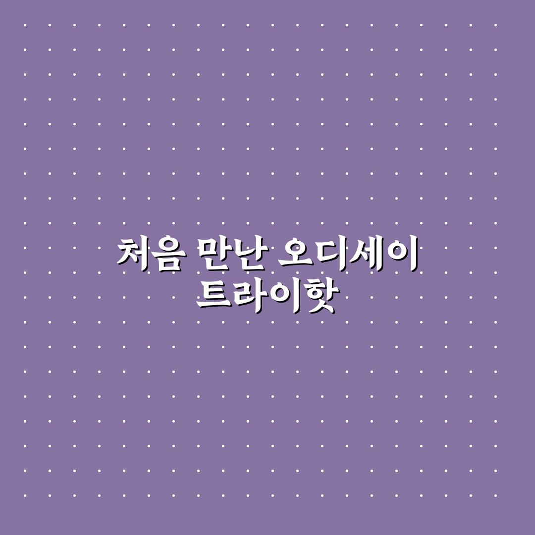 오디세이 트라이핫 사용 후기, 직접 써보니 장단점
