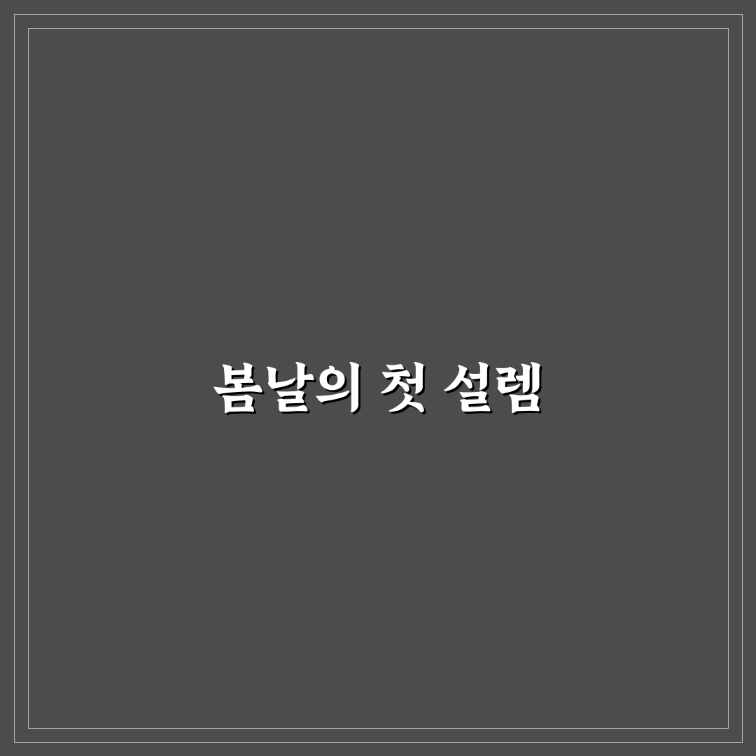 강릉 튤립공원 방문 후기, 직접 가보니 풍경이 어땠는지