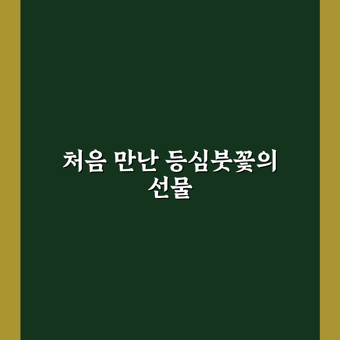 등심붓꽃 키우기 후기, 직접 심어보니 알게 된 점들