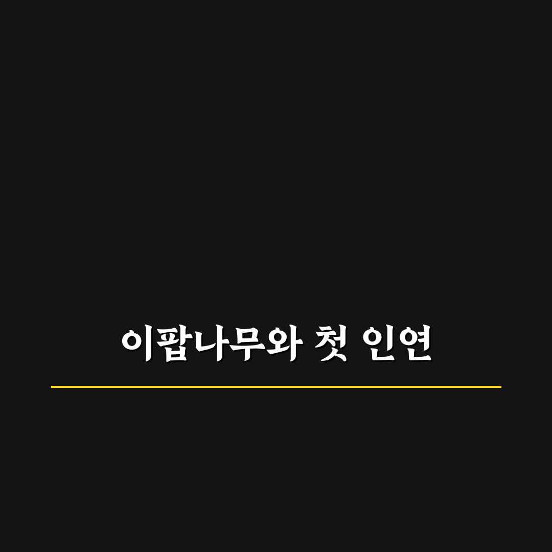 팔복동 이팝나무 축제 방문 후기, 꽃길 따라 산책해보니