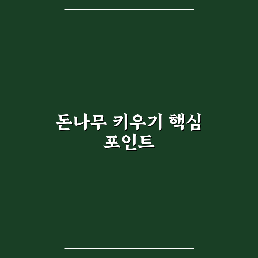 모동숲 돈나무 최대 성장 조건과 효율 비교 분석
