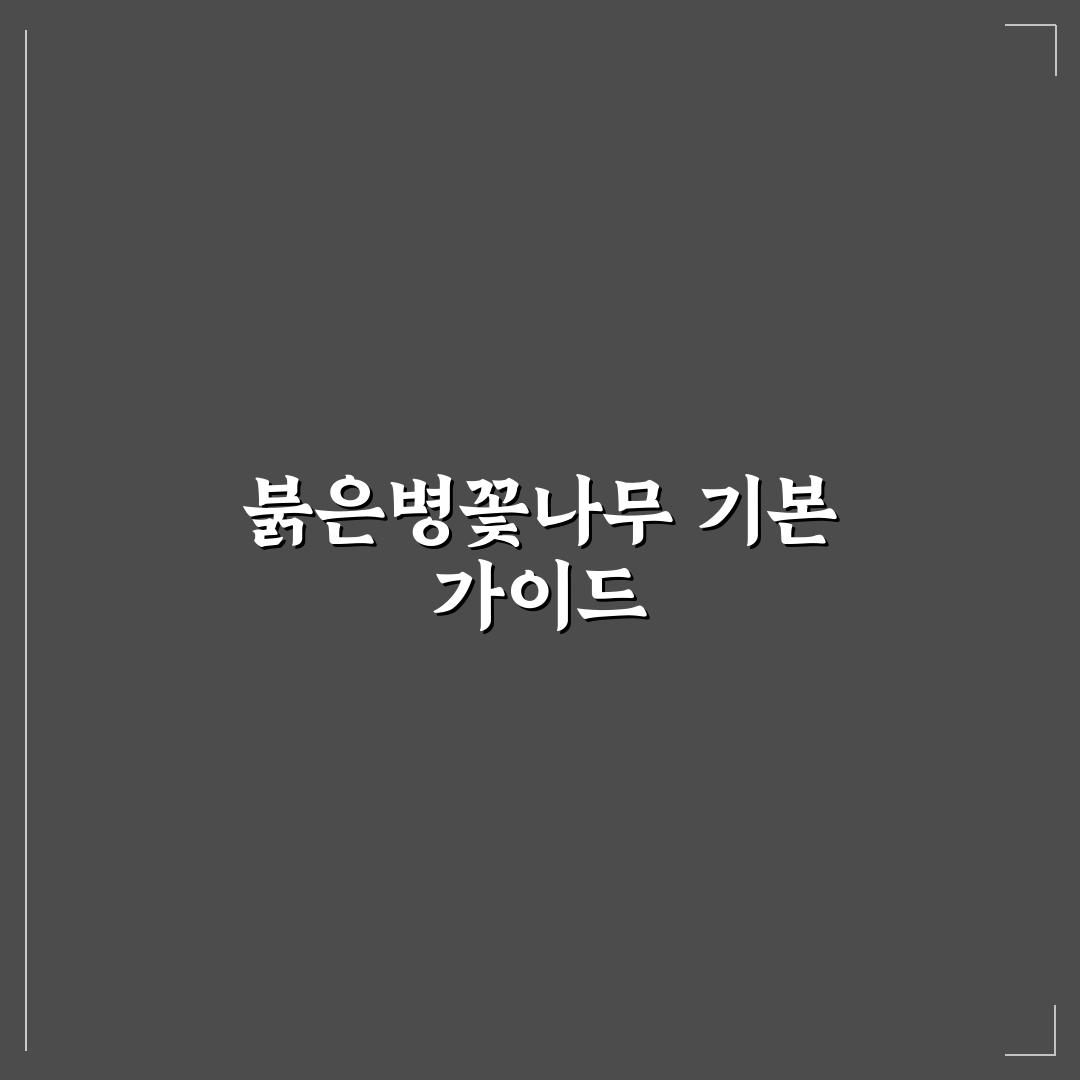 붉은병꽃나무 키우기 5가지 기준과 관리법 총정리