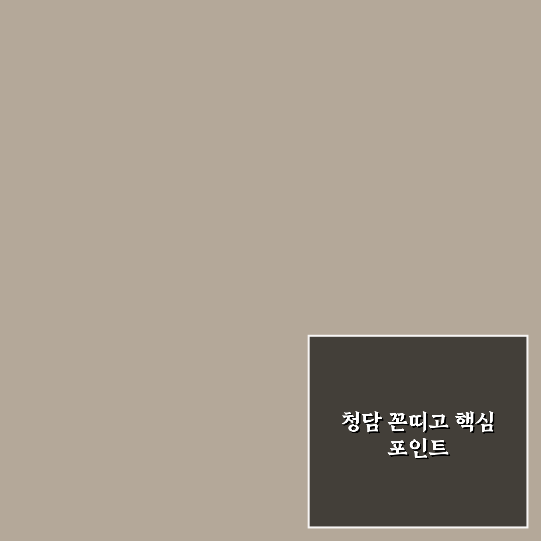 청담 꼰띠고 방문 전 체크포인트 5가지 비교 분석