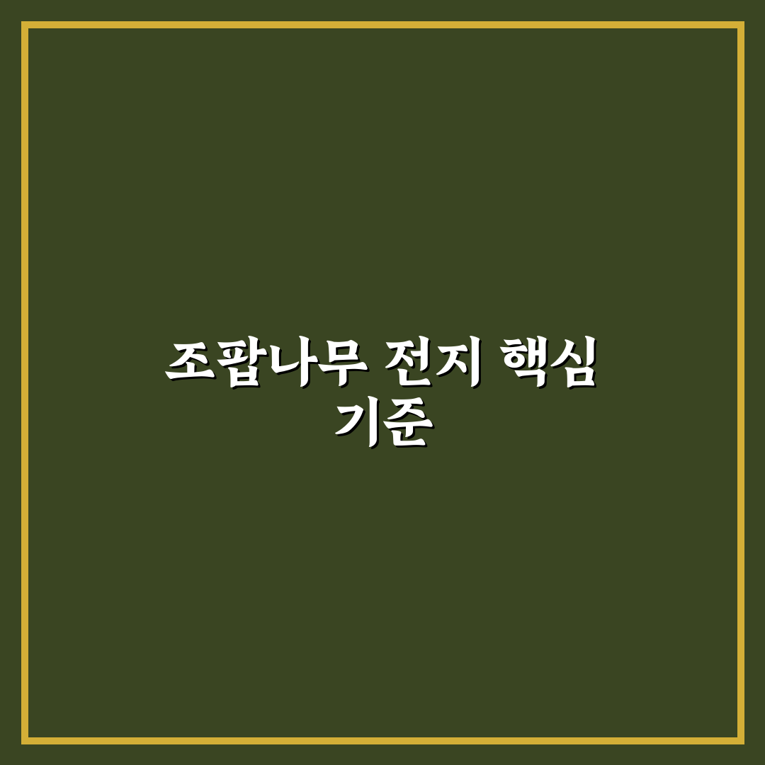 조팝나무 전지방법 5가지 기준별 비교와 가이드