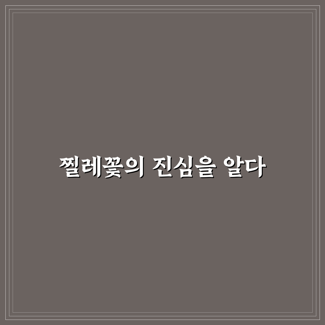 찔레꽃 꽃말의 의미와 상징 분석 가이드