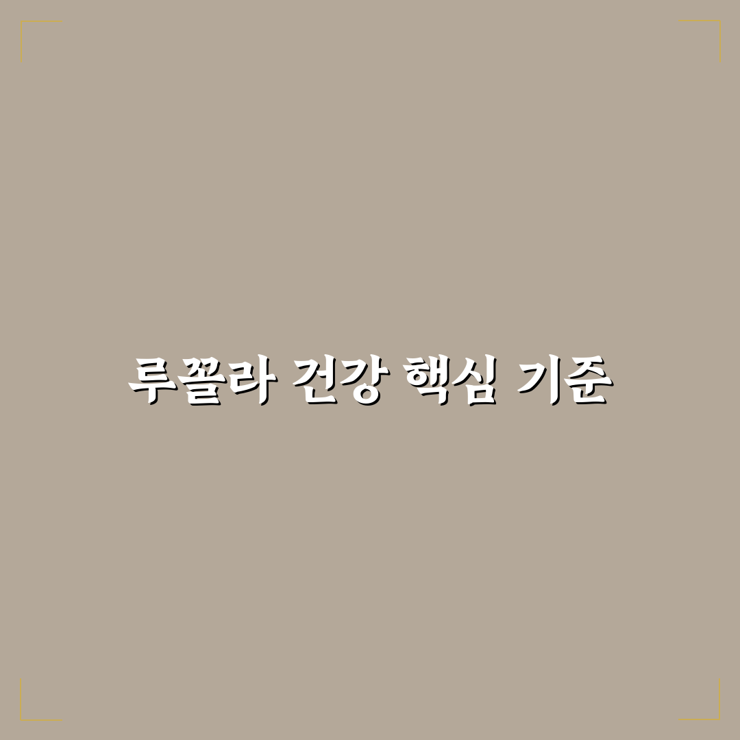 루꼴라 효능과 부작용 총정리 및 안전성 판단 기준